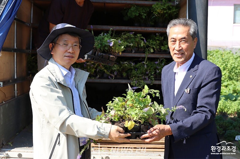 보도보도.jpg