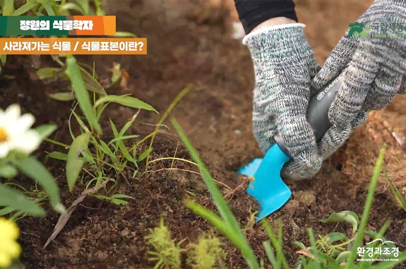 중고등학생 대상 `정원의 식물학자` 교육 중 식물 채집하기 부분.jpg