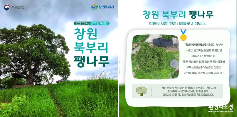 보도.jpg