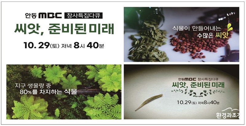 보오두.jpg