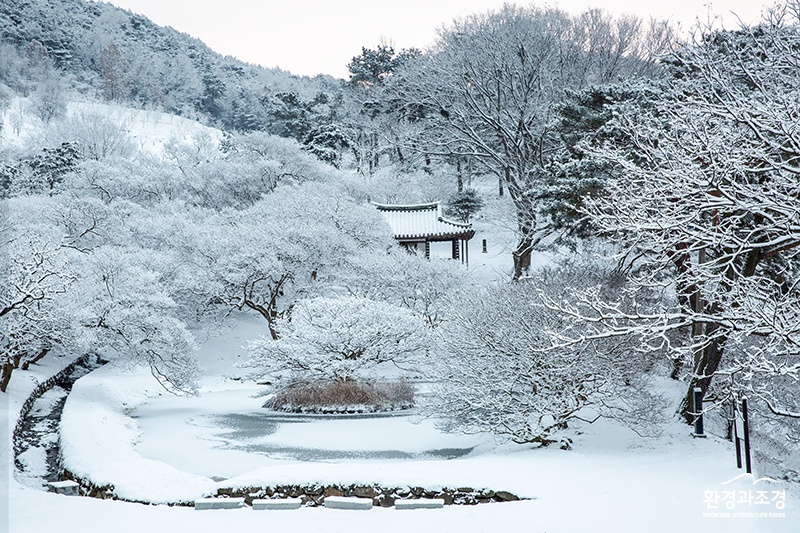 으뜸숲(1월 담양 명옥헌) 보도.jpg