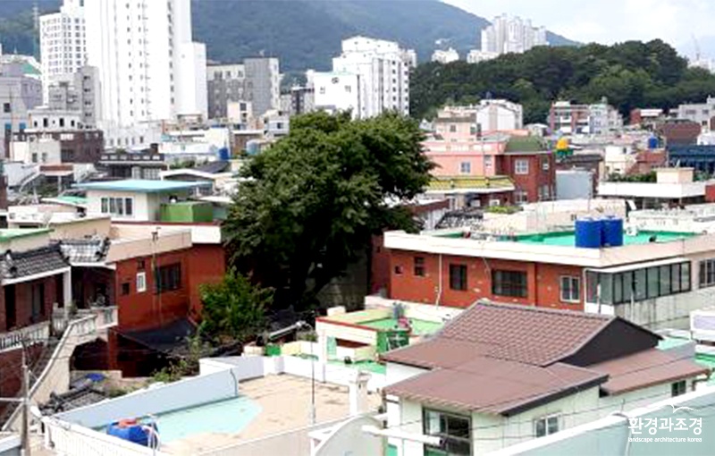 보도.jpg