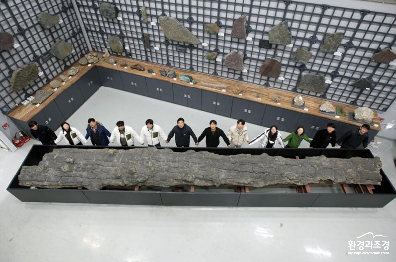 포항 금광리 신생대 나무화석 (사진=문화재청 제공).jpg