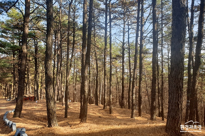 청양군 어린이와 가족을 위한 테마 공원 조성-사업대상지.jpg