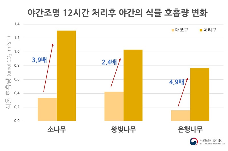 야간식물호흠량그래프 (사진=산림청 제공).jpg