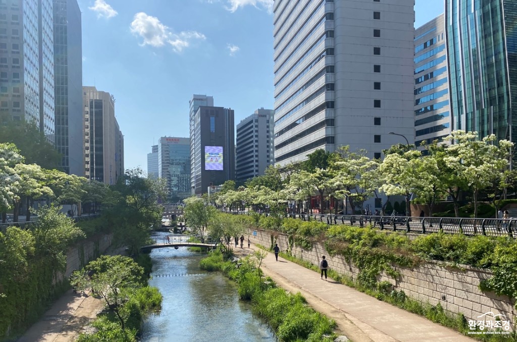 서울시 종로구 청계천 이팝나무길.jpg