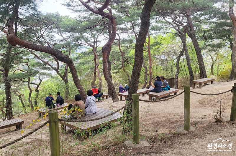 남산 소나무 힐링숲 (사진=서울시 제공).jpg