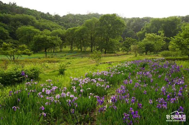 사본 -구리 동구릉 (사진=문화재청 제공).jpg