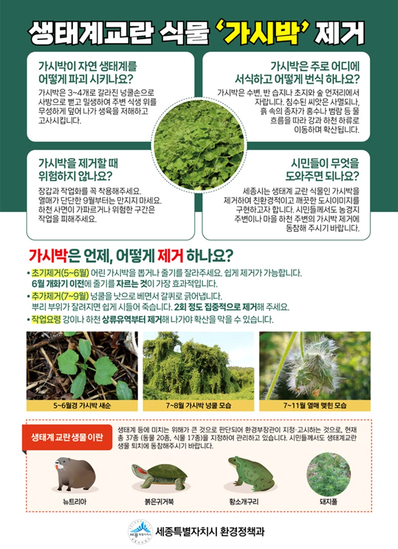 안내.jpg