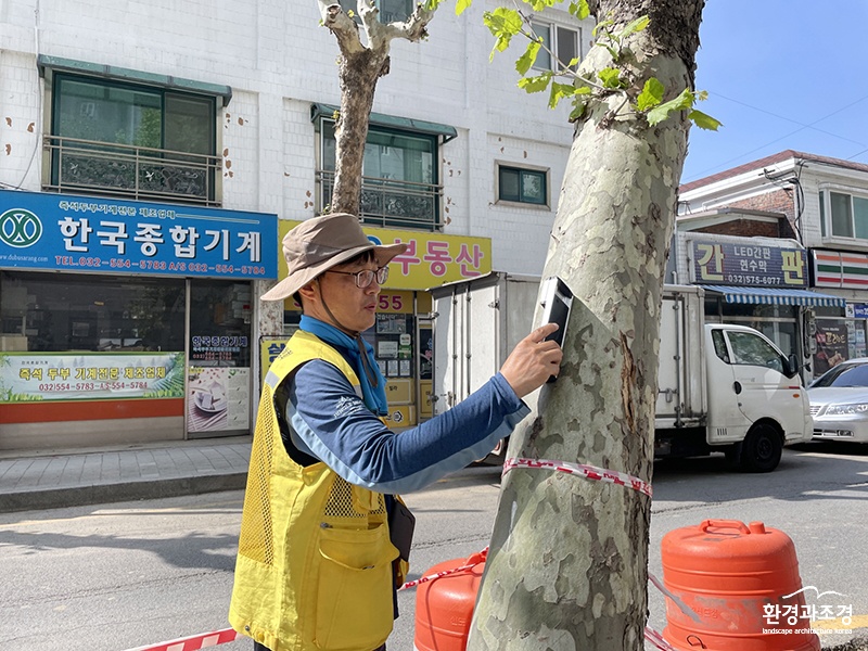 수목 안전 진단22.jpg