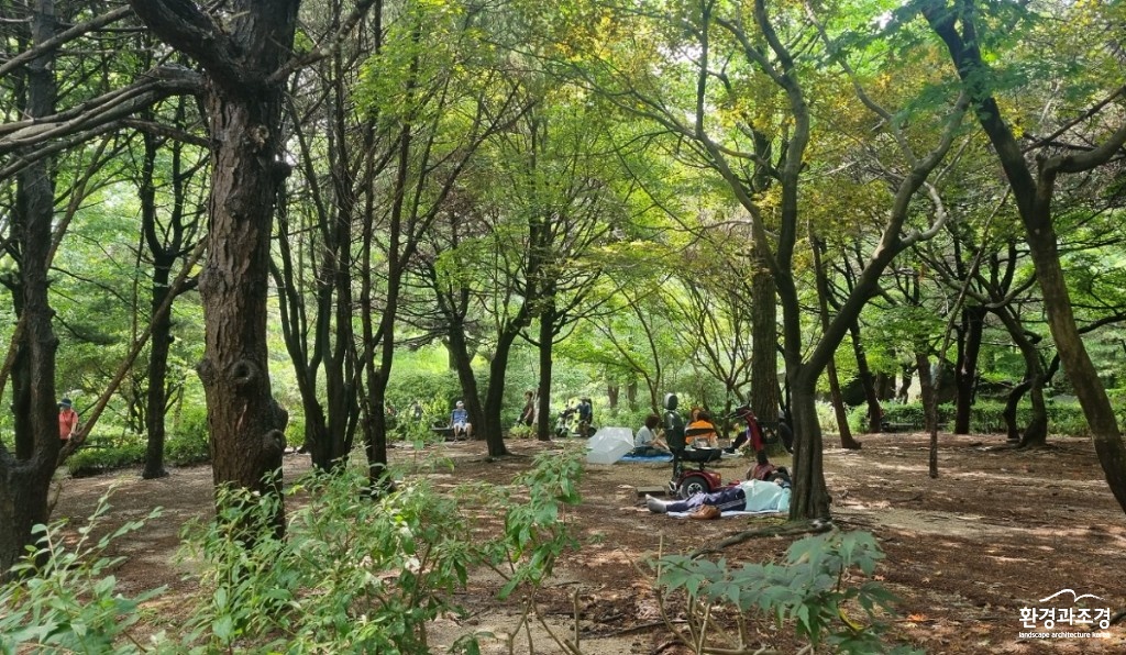 숲.jpg