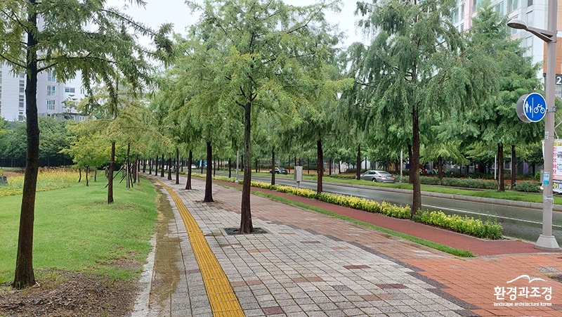 가로수 부문 최우수_대구 각산동 경안로 가로수길.jpg