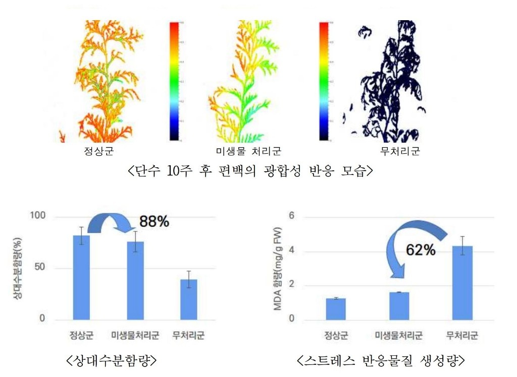 캡처.JPG