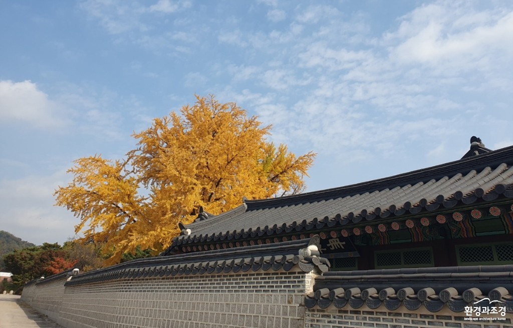 창덕궁05.jpg