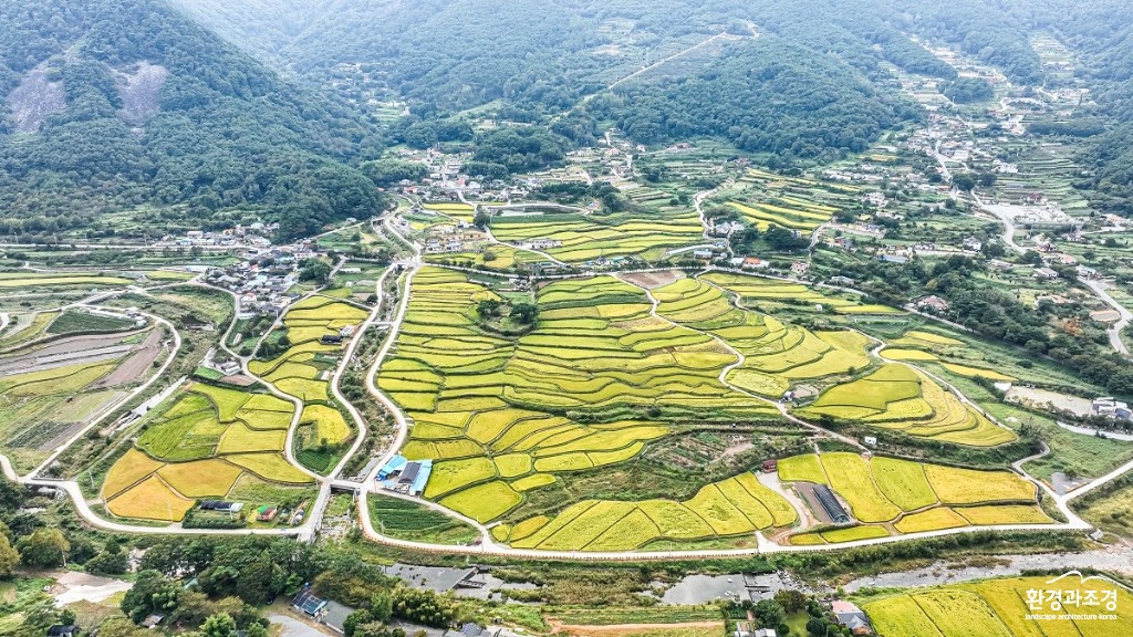 다랑논.jpg