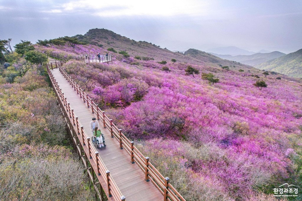대구 비슬산 군립공원(사진=문체부 제공).jpg