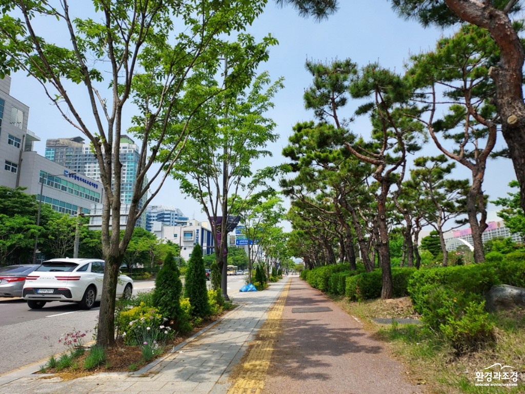 시청 앞 도시바람길숲.jpg