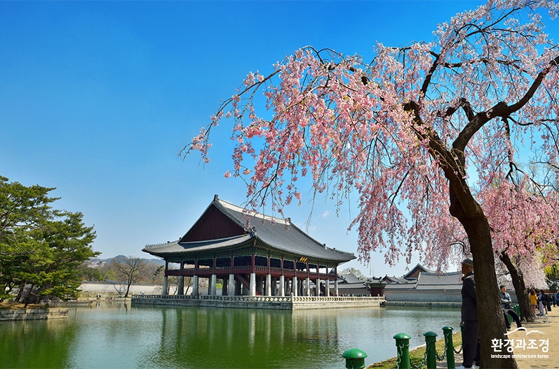 경복궁 경회루 전경 봄.jpg