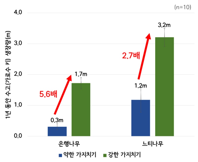 그래프.jpg