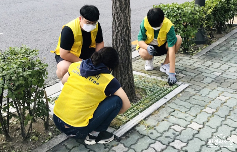 강북구 보도.jpg