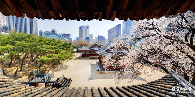 덕수궁 석어당 2층에서 본 봄 풍경  ㅂㄷ.jpg