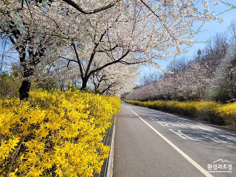 월드컵공원 하늘공원.jpg