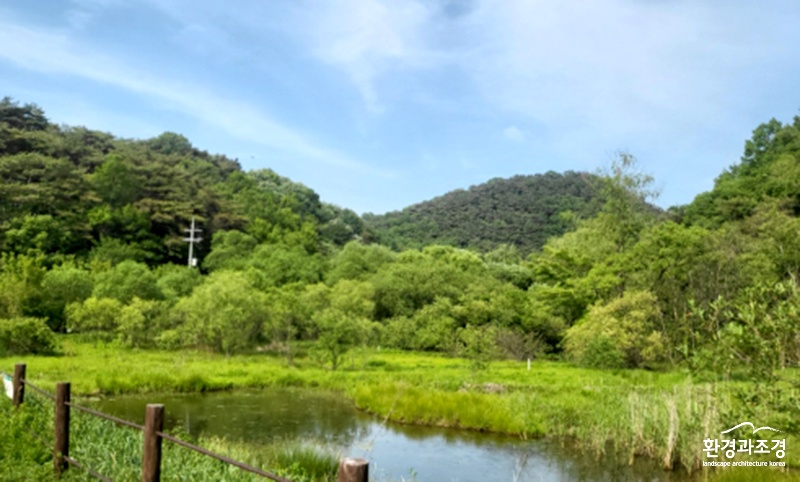평두메습지 전경 보도.jpg