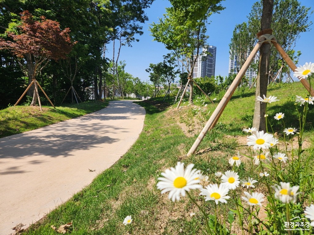 익산 도심 한가운데 도시 숲…_마동공원_ 신호탄(마동공원 산책로).jpg