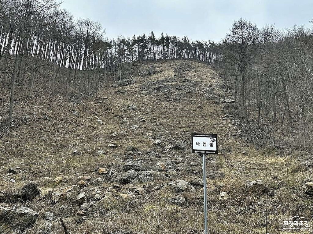 1e8fd6c1-사진3_민주지산-백두대간-보호지역-내-개발된-‘선도-산림경영단지-숲가꾸기-시범사업-입지-각-구역에는-‘민주지산-선도-산림경영단지-숲가꾸기-시범사업-입지-라는-문구와-새로-심는-수종의-이름이-적힌-안내문이-있었다-1024x769.jpg