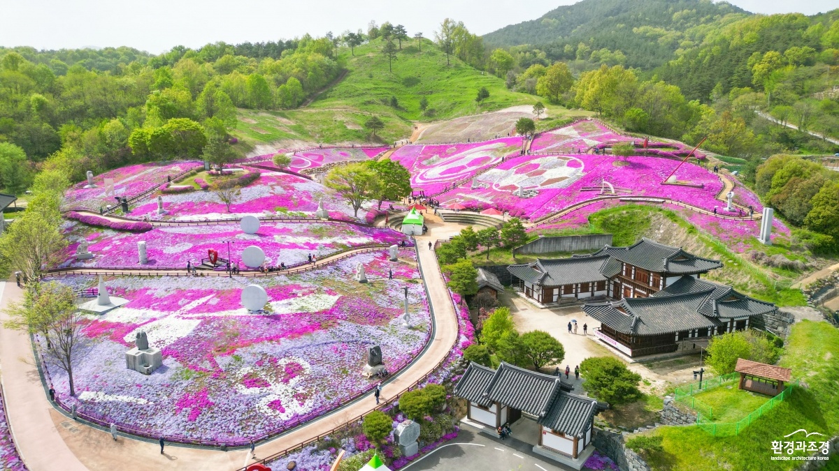 (자료사진) 산청군 생초 꽃잔디 축제 (4).JPG
