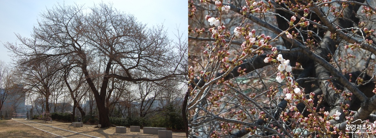 스크린샷 2025-04-04 172025.png