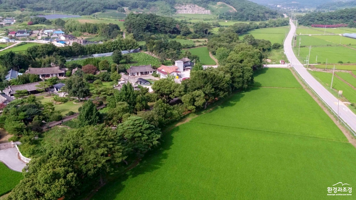 고창 삼태마을숲 전경.jpg