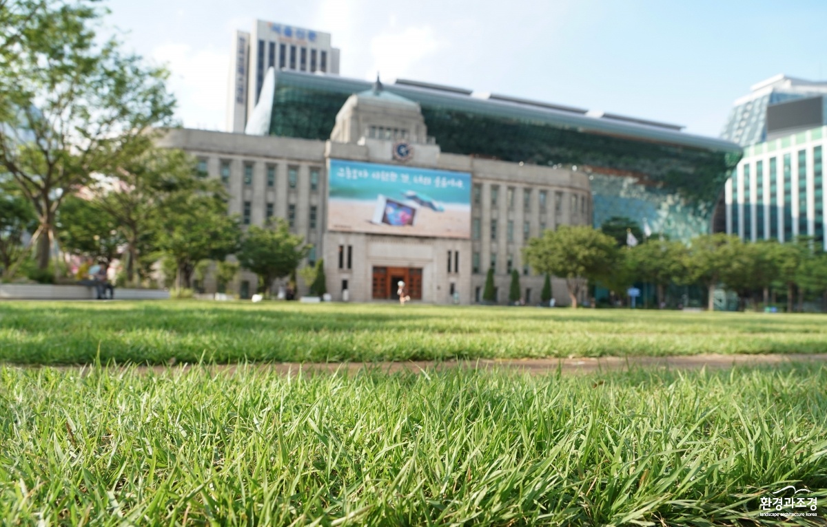 서울광장숲-28.jpg