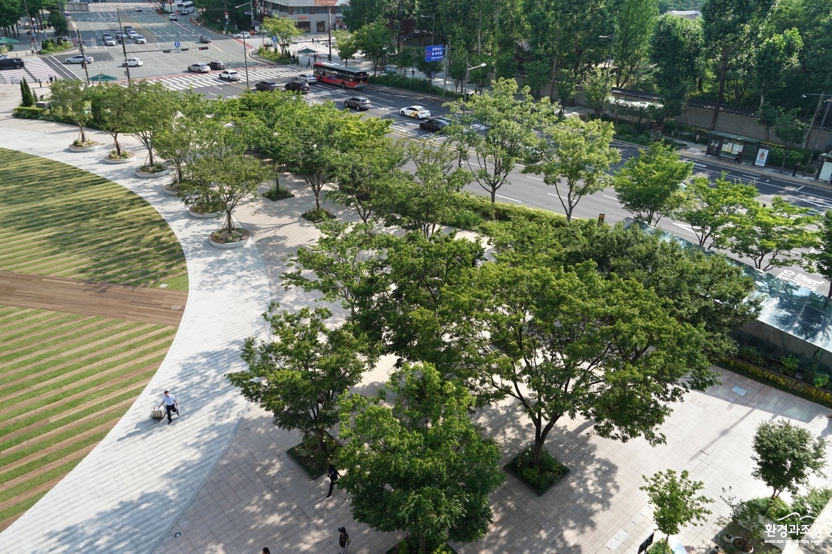 서울광장숲-3.jpg