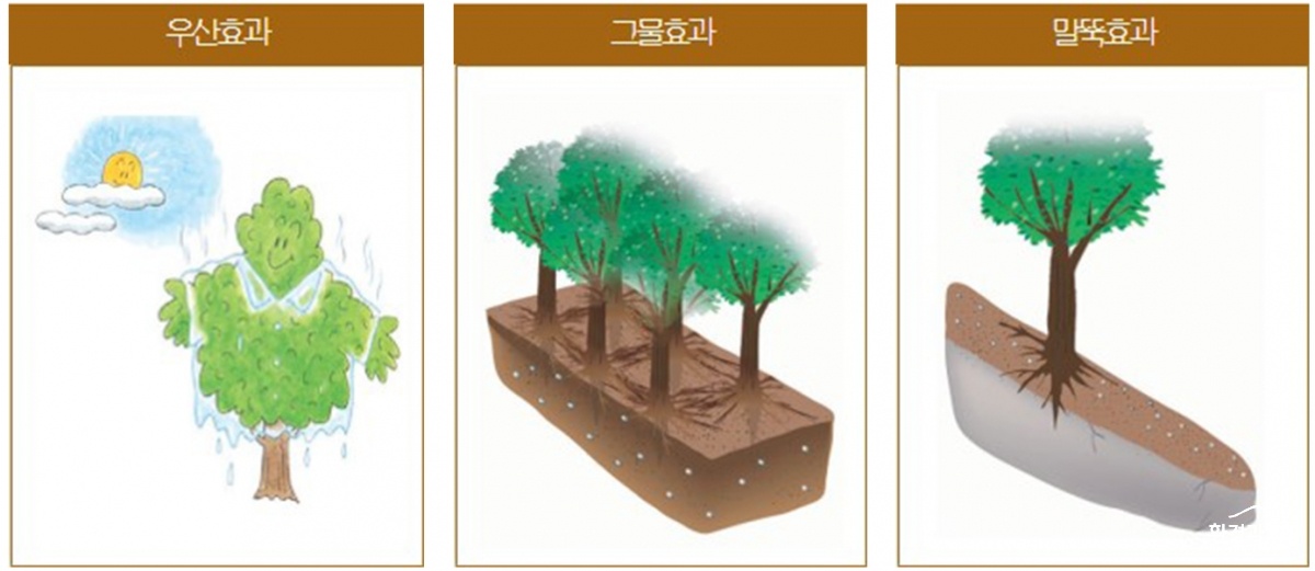 제목 없음-1.jpg