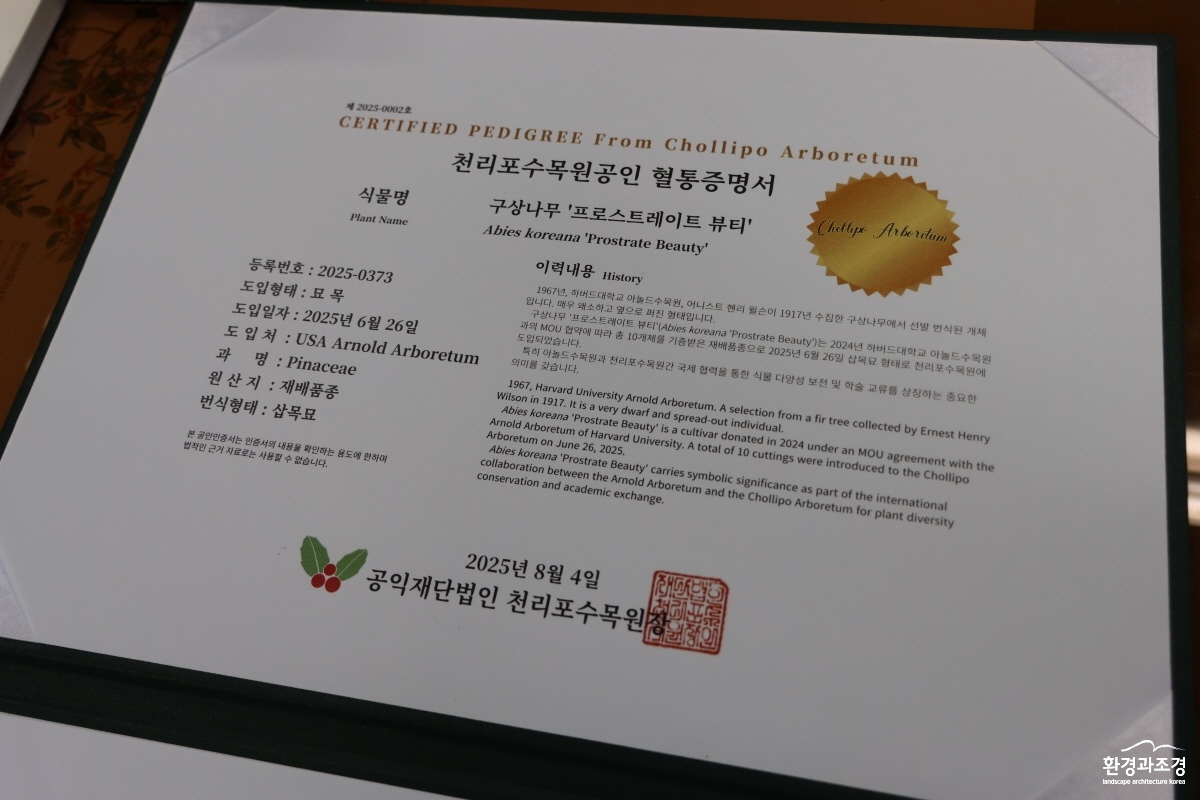 구상나무 혈통증명서.jpg