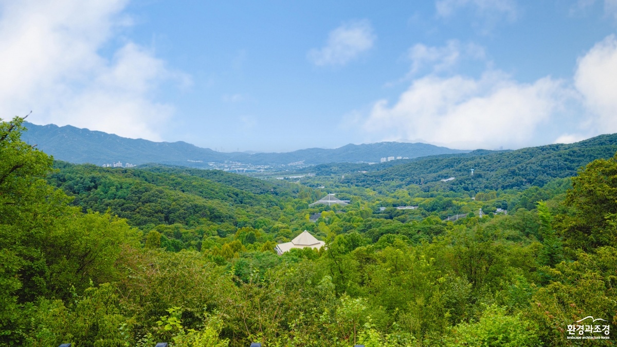 산림욕장길(전망대).jpg