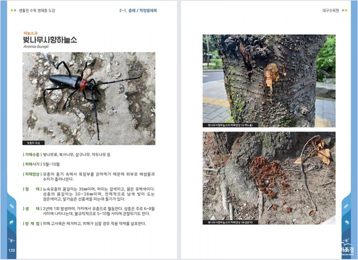 대구수목원 도심생활권 병해충도감.jpg