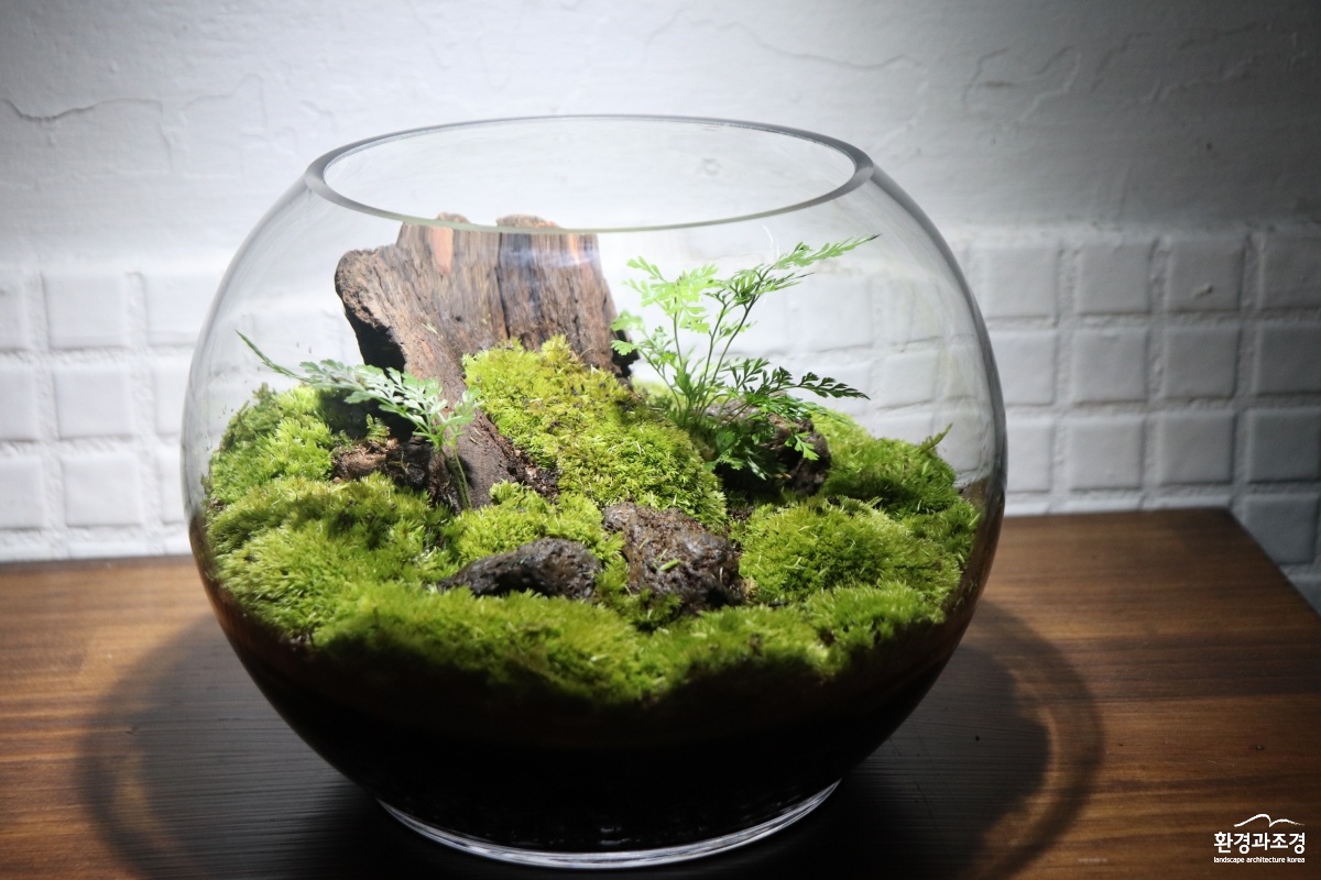KakaoTalk_20250909_142846329_02.jpg