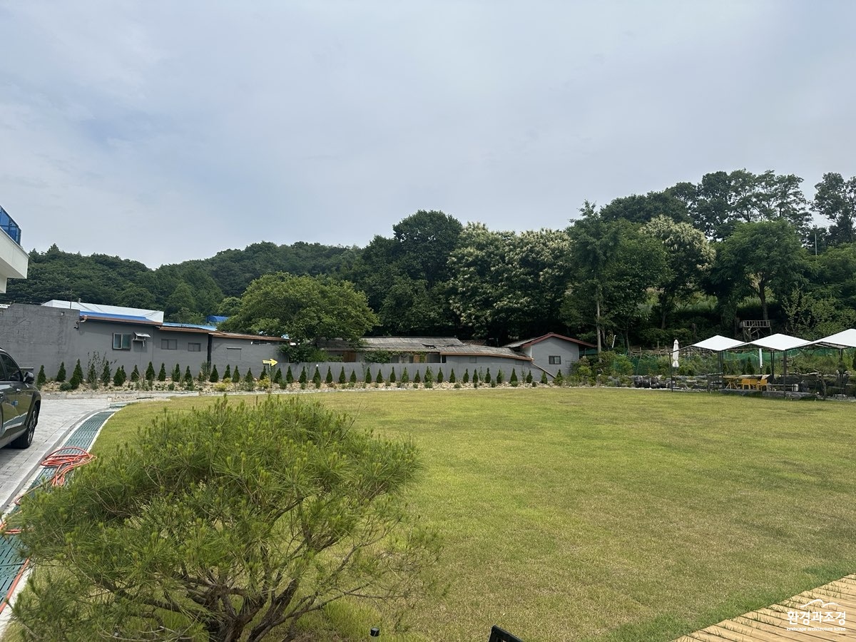 1. 부엔까미노.jpg