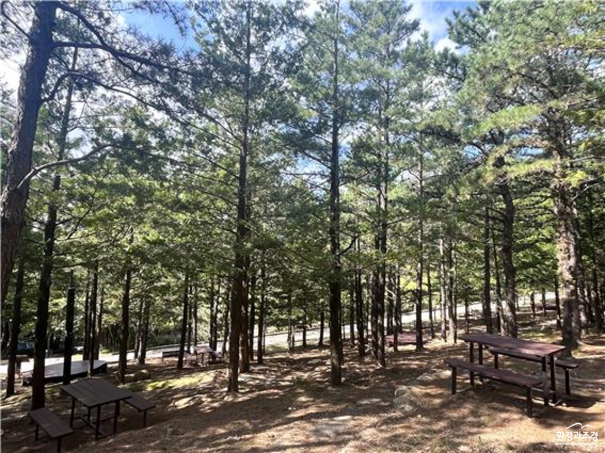noname02.jpg