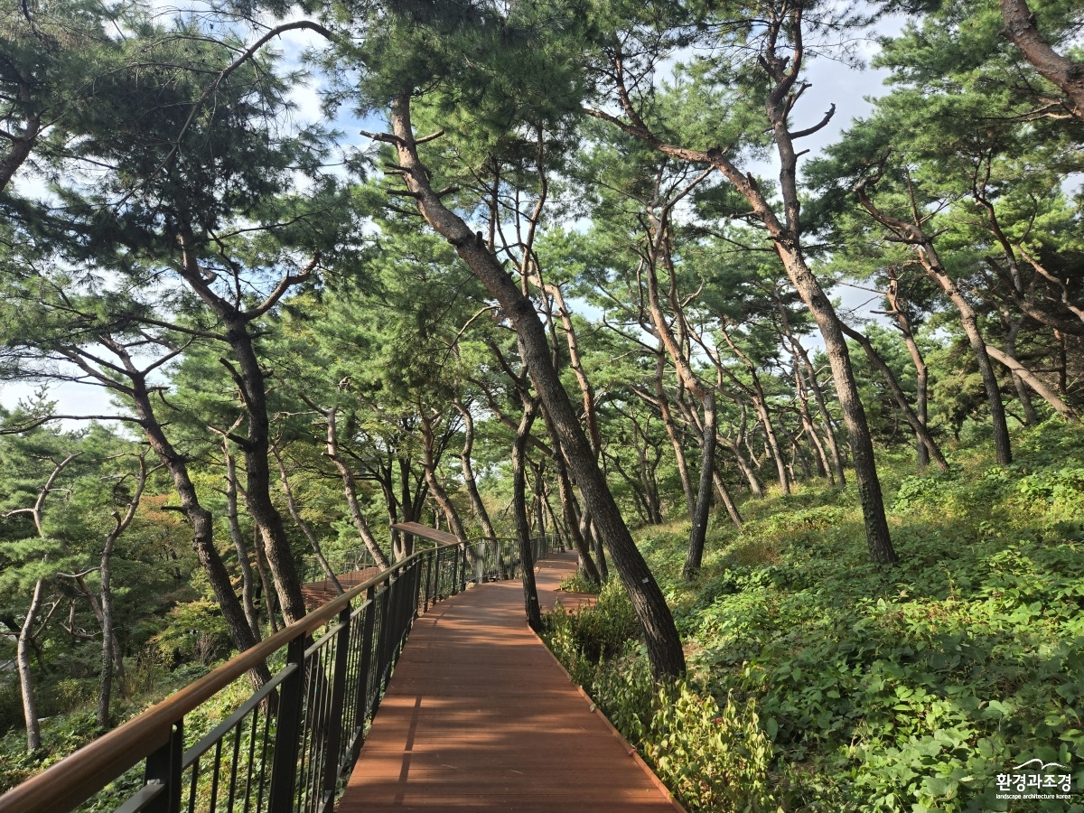 무장애길2.jpg