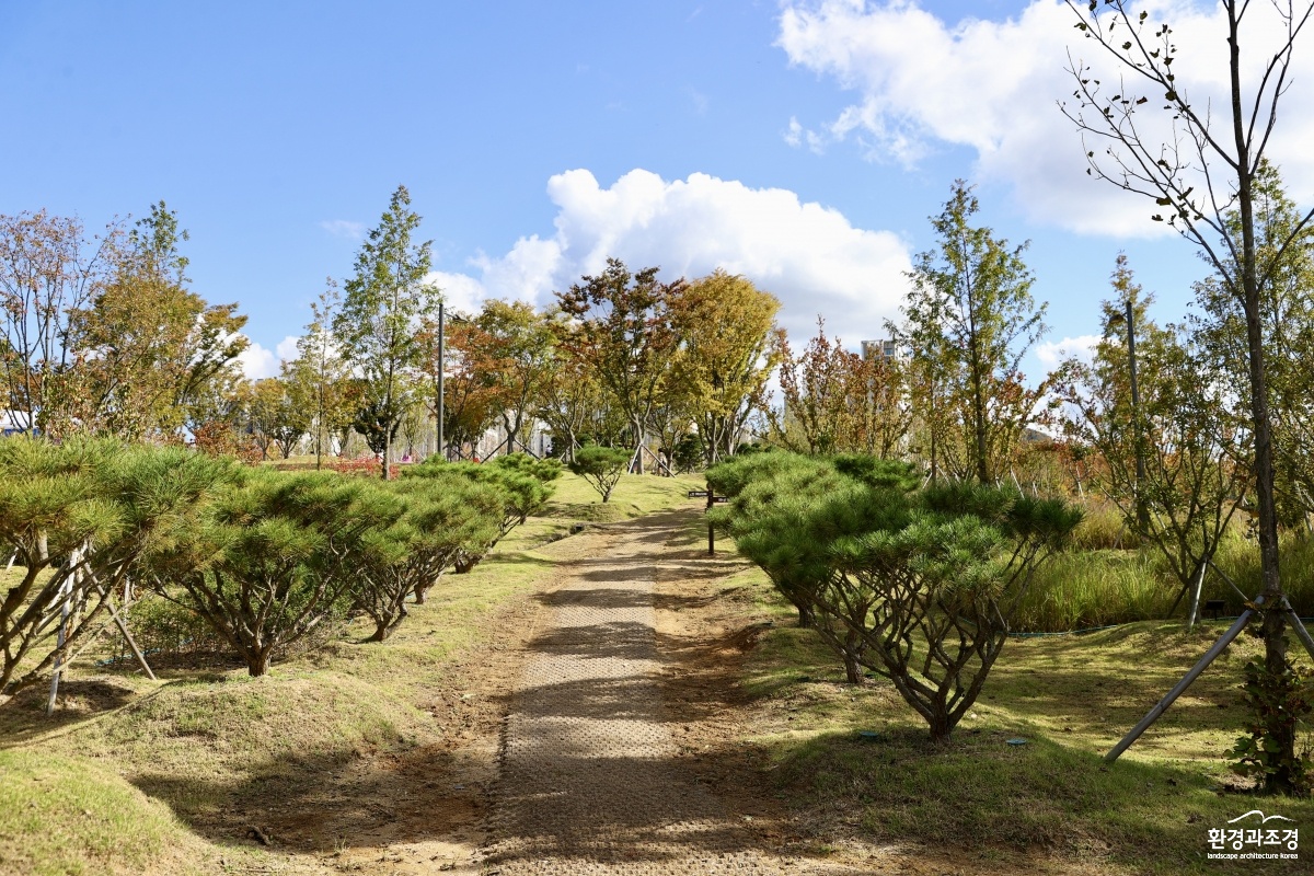 시민의 숲2.jpg