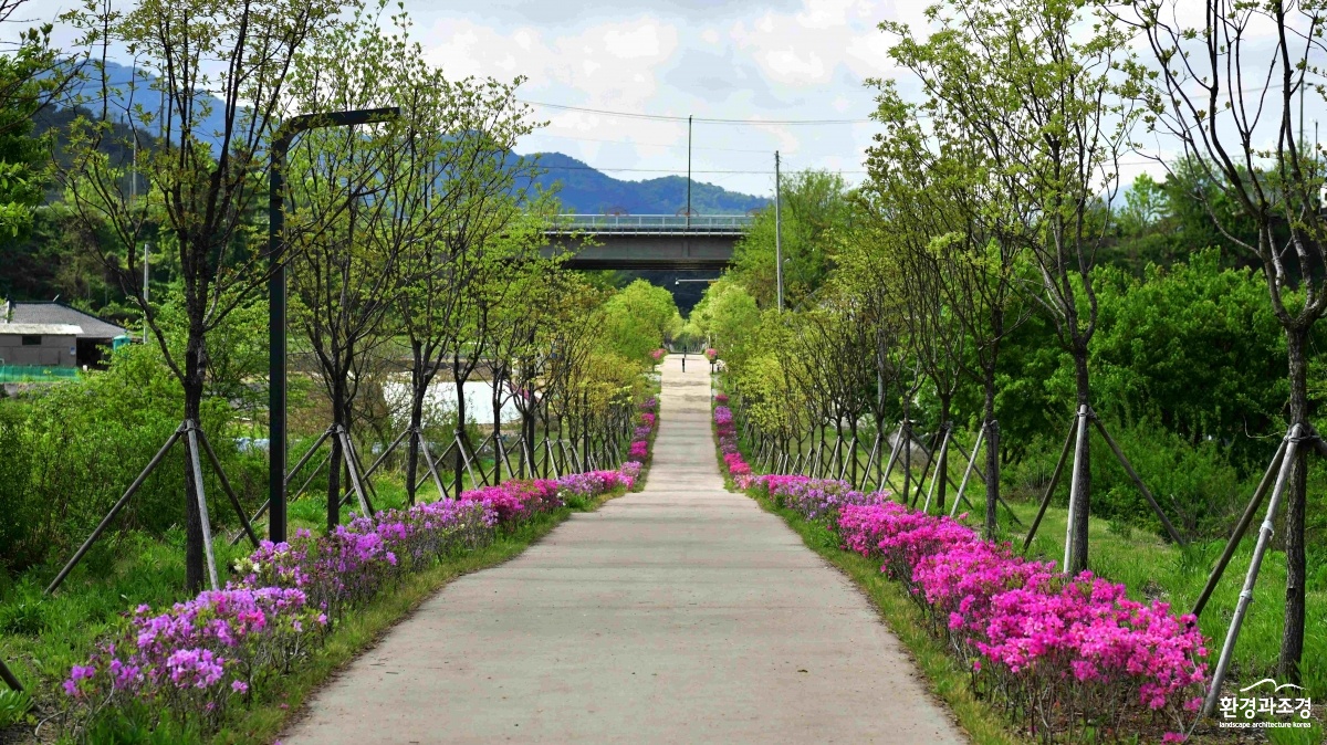 사진2._강원특별자치도_원주시_치악산_바람길숲.jpg