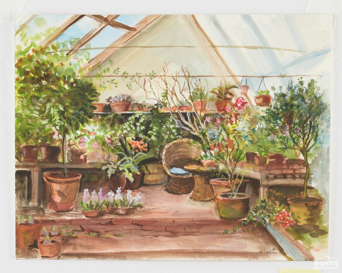 13. Tasha_s Greenhouse, Watercolor on paper, 31 x 39 cm.jpg