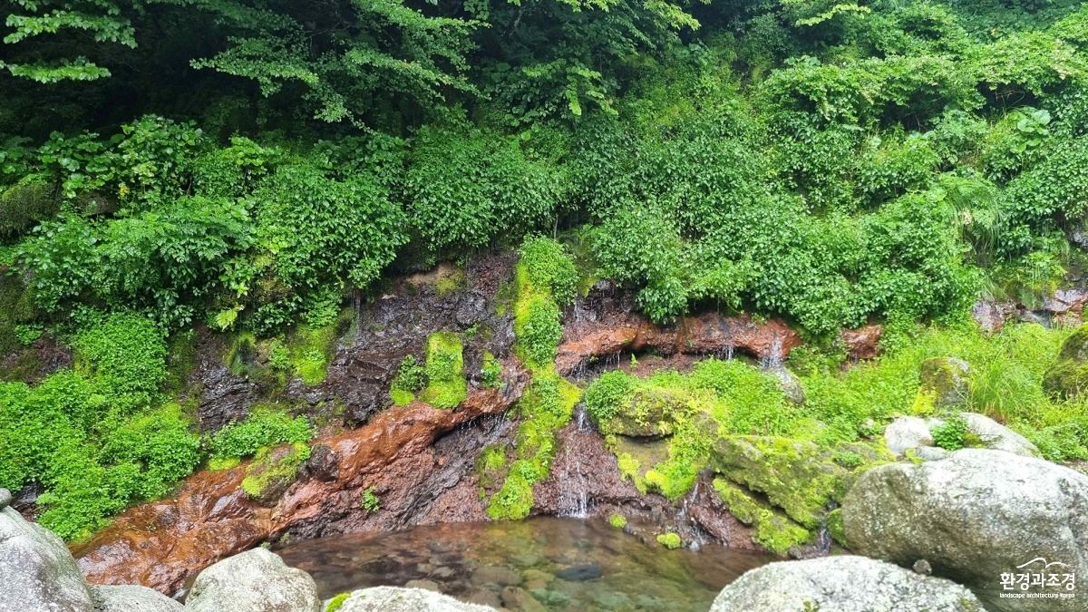 화산암층과 용천수 근경.jpg