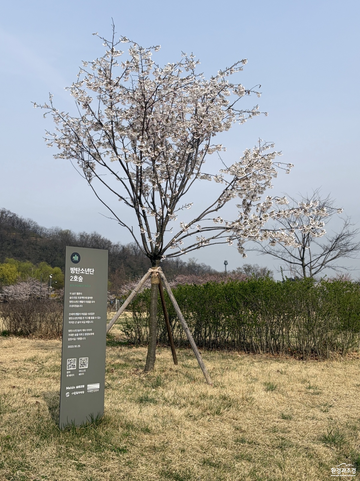 방탄소년단_2호숲.jpg