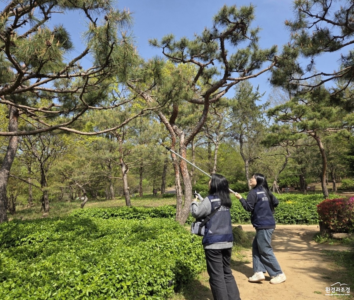 인천_수목현장측정.jpg