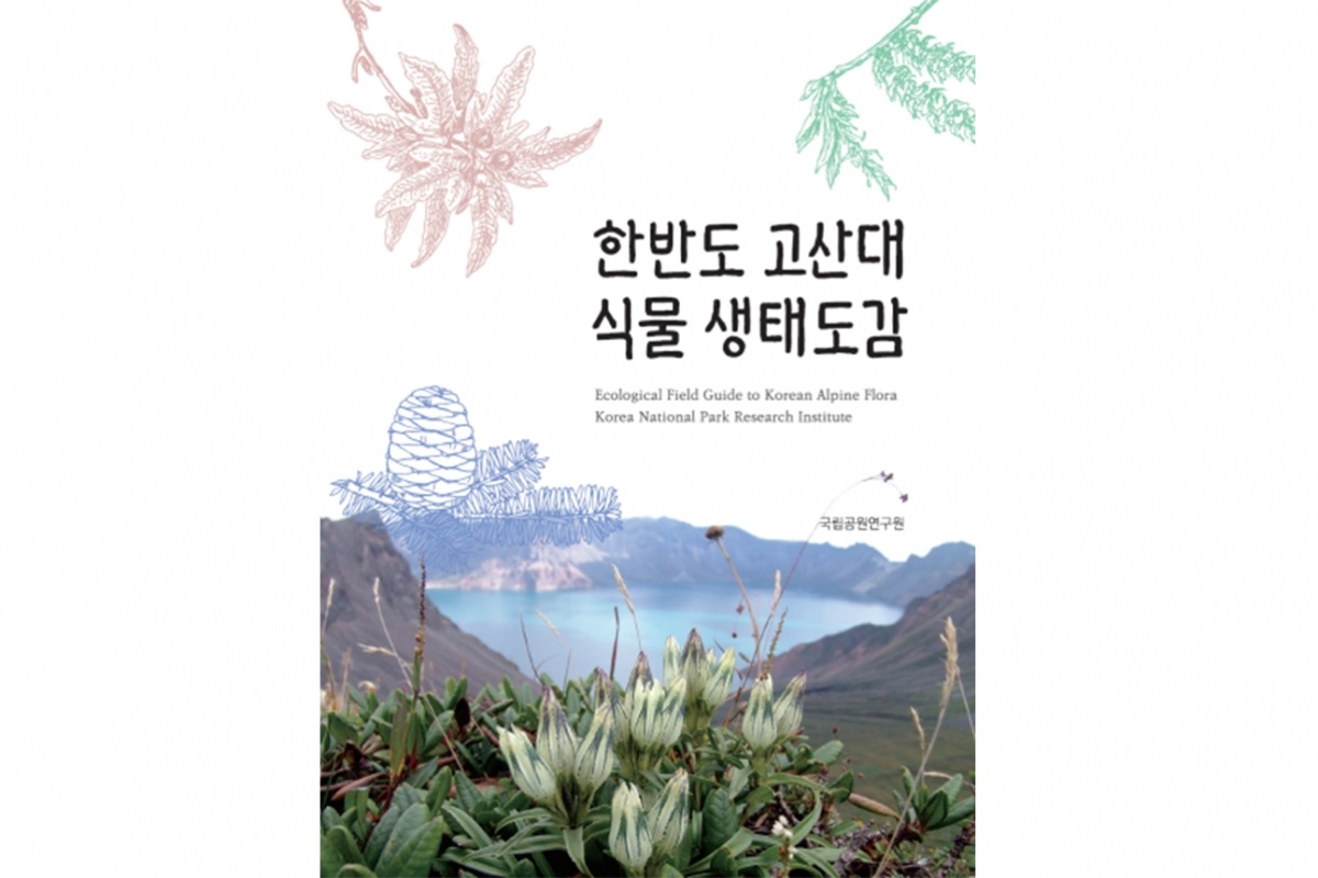 도감 표지_.jpg