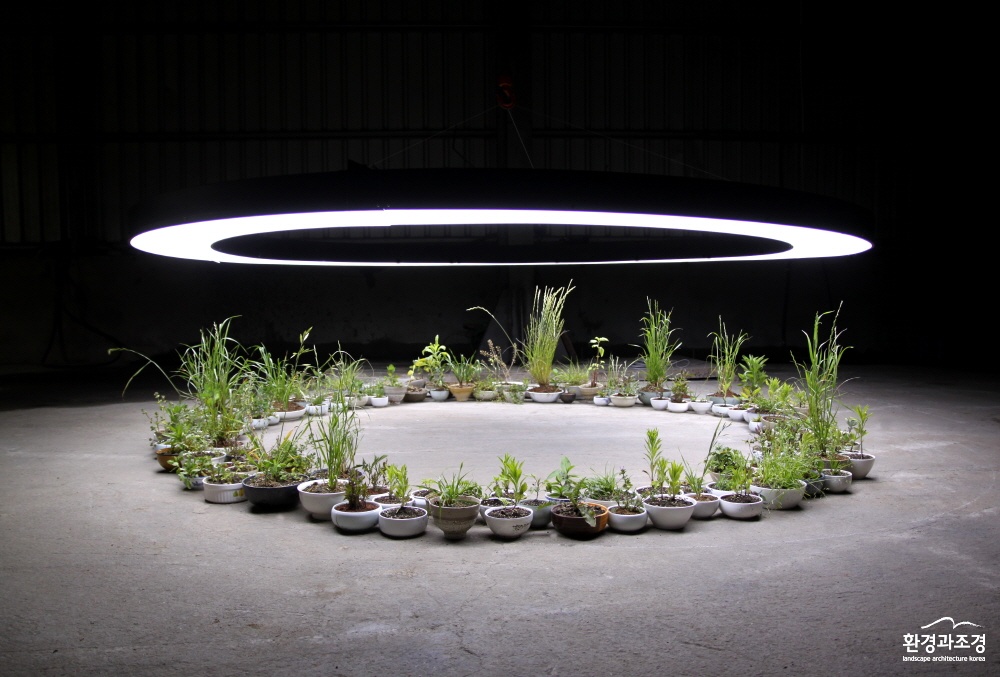 크기변환_사본 -2. 김원정, 완전한 인식, 2011, 식물, LED조명, 그릇, 가변설치.jpg